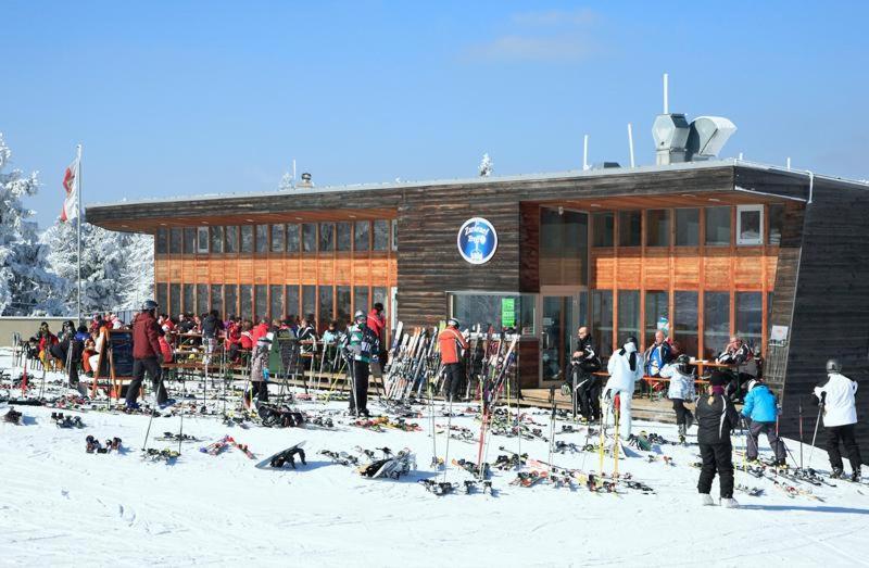 Forsthaus Apartments - Ski + Bike & Hike Klaffer am Hochficht Extérieur photo
