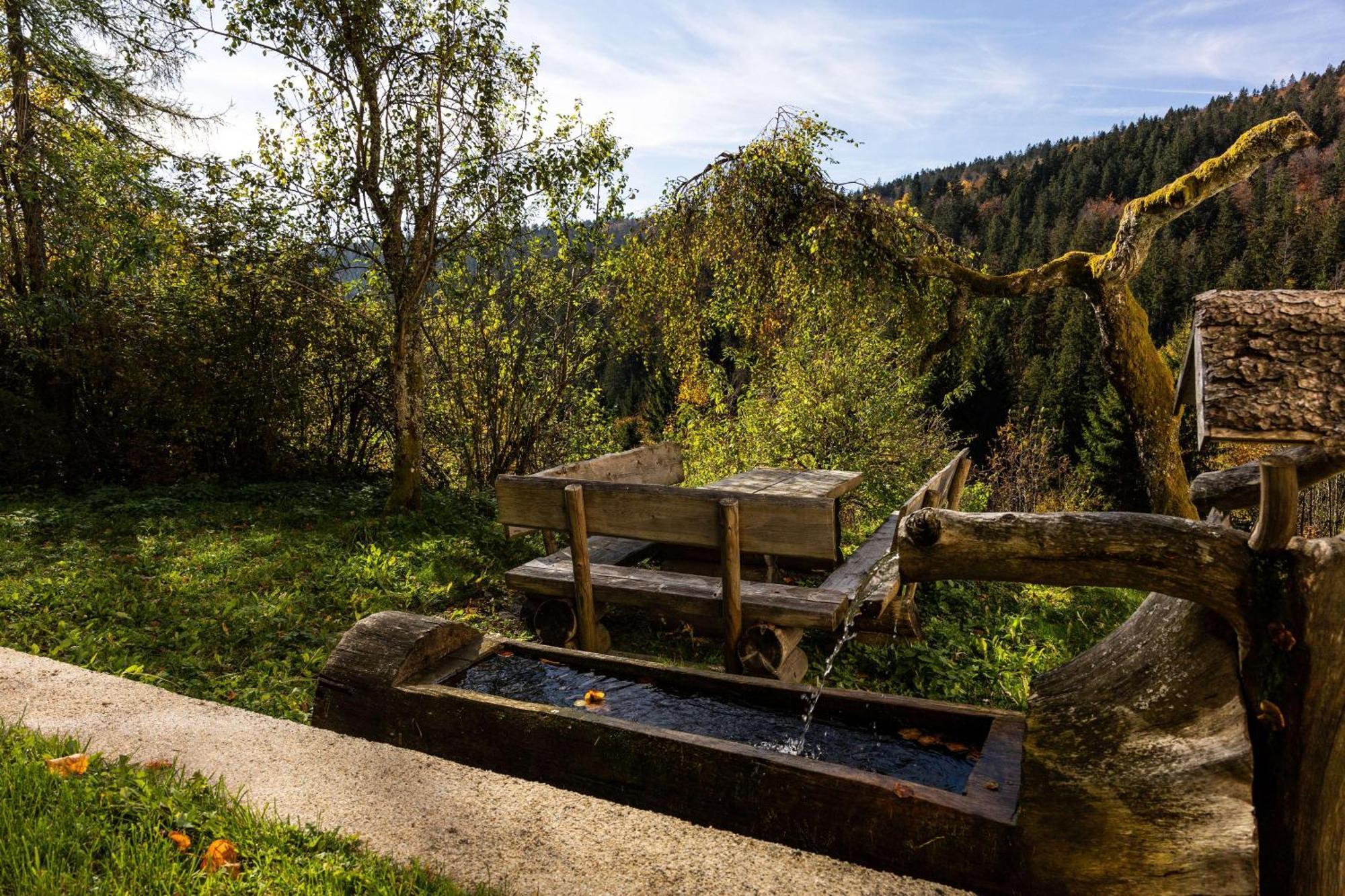 Forsthaus Apartments - Ski + Bike & Hike Klaffer am Hochficht Extérieur photo