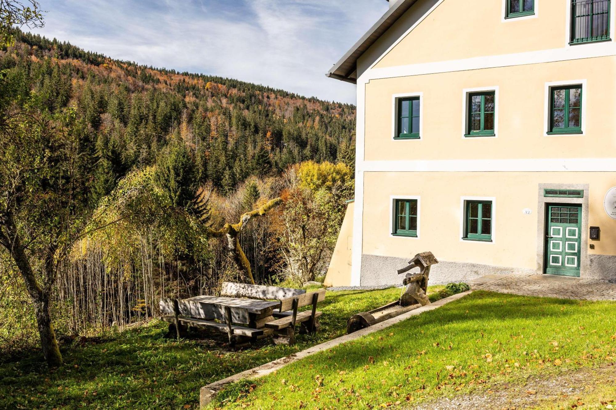 Forsthaus Apartments - Ski + Bike & Hike Klaffer am Hochficht Extérieur photo